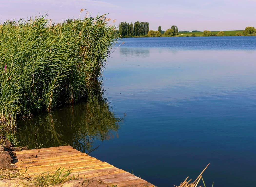 Водойма WINFISH Водойма WINFISH